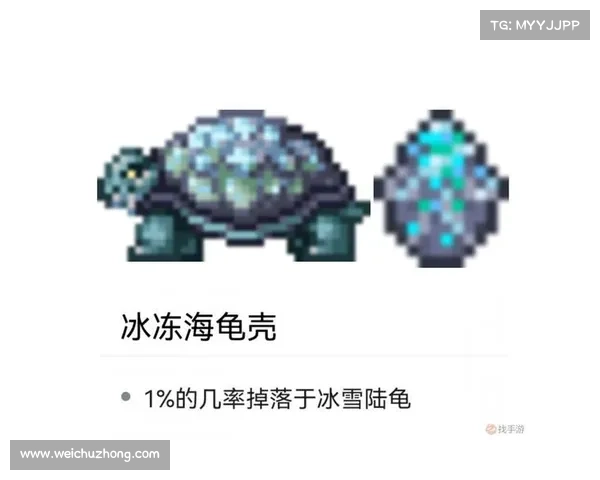 武魂玄冰加点最佳策略与战斗实战技巧解析 武魂玄冰加点最佳策略与战斗实战技巧解析