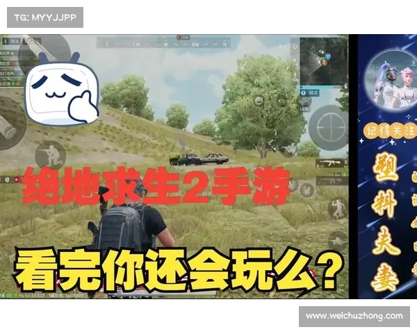 绝地求生游戏价格变化趋势及其对玩家购买决策的影响分析 绝地求生游戏价格变化趋势及其对玩家购买决策的影响分析