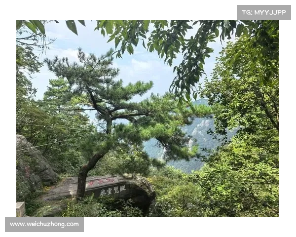如何快速找到通往锦绣谷的入口并探索其中的美丽景点 如何快速找到通往锦绣谷的入口并探索其中的美丽景点