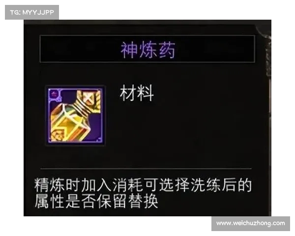 如何选择黑暗元首装备以最大化输出效果并提升战斗力 如何选择黑暗元首装备以最大化输出效果并提升战斗力