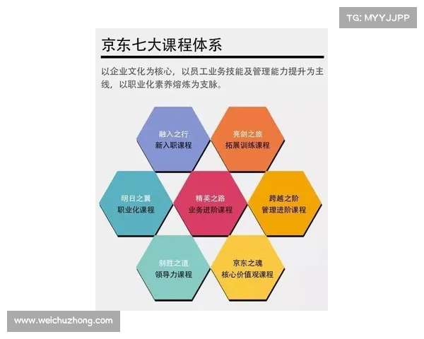 提升冰洁师技能的实用技巧与专业方法探究及实践指南 提升冰洁师技能的实用技巧与专业方法探究及实践指南