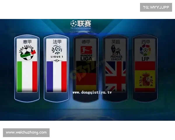 全面解读欧洲五大联赛差异化风格与竞争格局深度剖析发展趋势全景呈现