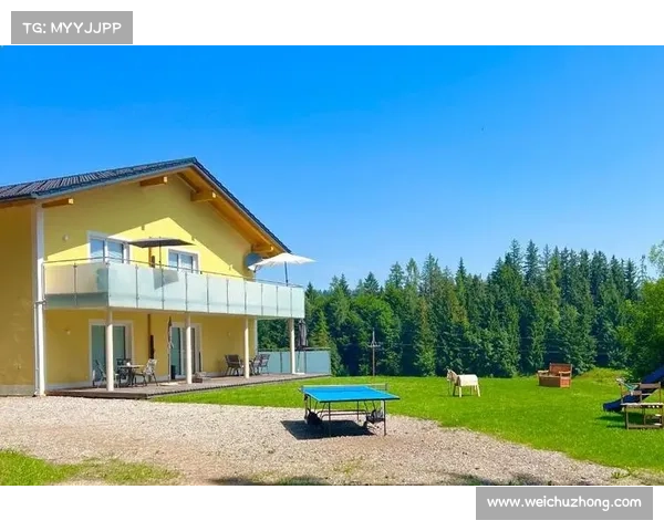 揭秘三球称号背后的故事 拉梅尔鲍尔为何获得这一独特昵称