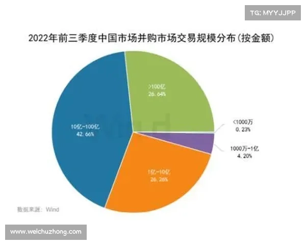 如何分析世界羽联最新排名变动及其背后的影响因素