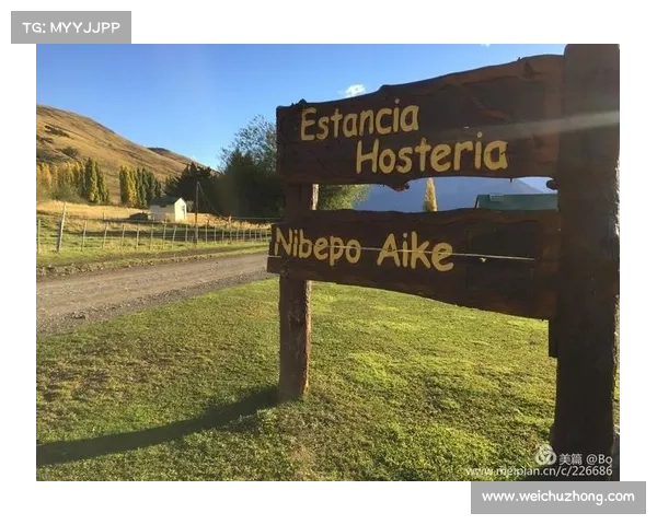 成为阿根廷足球明星的五大关键步骤助你踏上职业巅峰之路